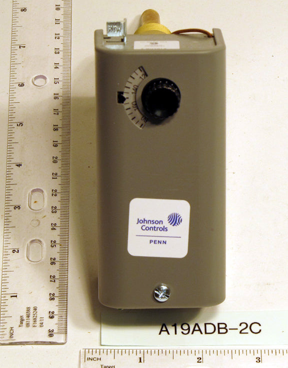 Johnson A19ADB-2C Direct Immersion Temperature Control With Manual Reset 100/240F; 2 Immer