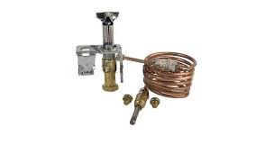 Raypak 003972F Pilot 30-180 Std Nat-kit