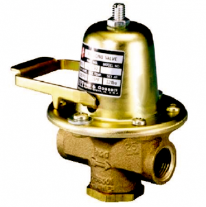 Bell & Gossett FB-38 Pressure Reducing Valve 110192LF with Fast Fill