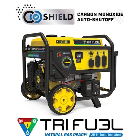 Champion Power Equipment 201169 - Portable Generator, Gasoline/Natural Gas/Propane, Electric, Recoil Start, 120/240 V AC