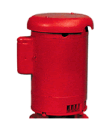 Bell & Gossett 169203 1/3HP Tri-Volt Replacement Motor for Hydronic Pumps