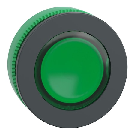 Schneider Electric ZB5FA38 - Head for illuminated push button, Harmony XB5, antimicrobial, plastic, green flush mounted, 30mm, universal LED,
