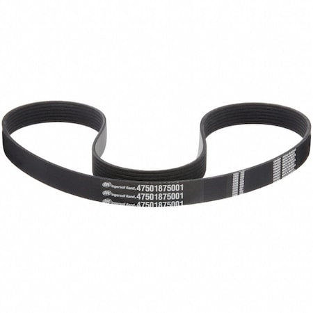 Ingersoll-Rand 47501875001 - Banded V-Belt, 47501875001, PK, CR, 49-7/32 in, 24-33/64-mm Top Width