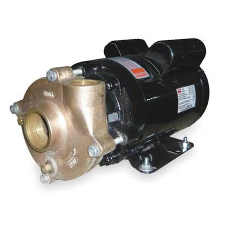 Dayton 2ZWT2 - Bronze/Brass 1-1/2 HP Centrifugal Pump 115/208-230 V