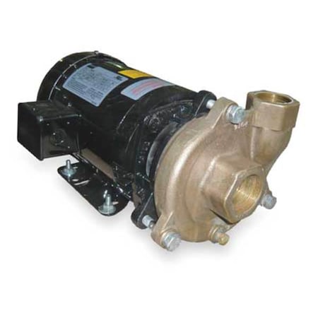 Dayton 2ZWT5 - Bronze/Brass 2 HP Centrifugal Pump 208-230/460 V