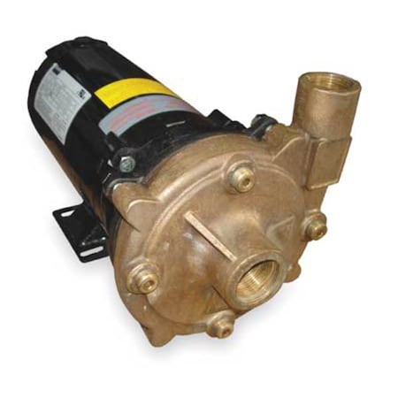 Dayton 2ZWZ9 - Bronze 3/4 HP Centrifugal Pump 208-230/460 V
