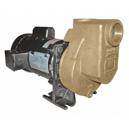 Dayton 2ZXR2 - Centrifugal Pump, 1 hp, 115/208 to 230 V AC, 1 Phase, 52 ft Max Head