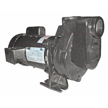 Dayton 2ZXP3 - Centrifugal Pump, 1 hp, 115/208 to 230 V AC, 1 Phase, 52 ft Max Head