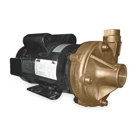 Dayton 2ZXA7 - Bronze 3 HP Centrifugal Pump 230 V