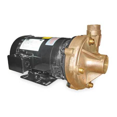 Dayton 2ZXA6 - Bronze 2 HP Centrifugal Pump 208-230/460 V