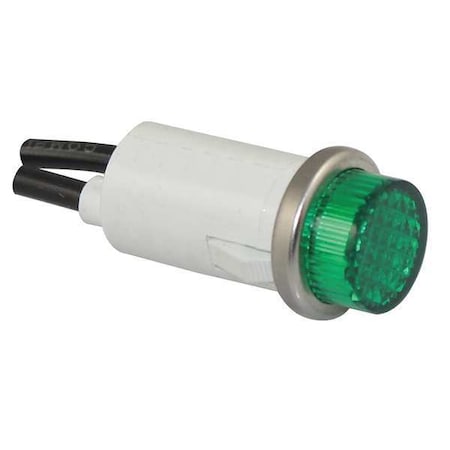 20C843 - Raised Panel Light, Green, 24 V AC/DC