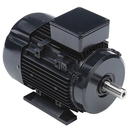 Leeson 090LT34FH6301 - Three-Phase General Purpose Motor, 3 HP, 90 L Frame, 230/460 V AC Voltage, 3500 rpm Nameplate RPM