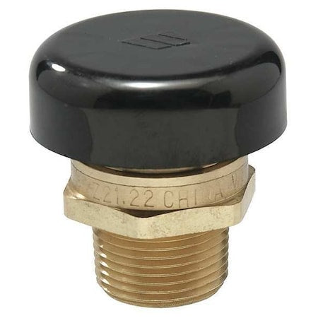 Watts LFN36-M1-3/4" - Vacuum Relief Valve,0 to 200 psi,SS