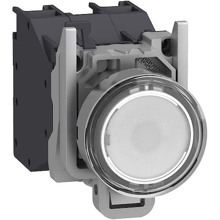Schneider Electric XB4BP183BM5GEX - Illuminated Push Button, Flush, Momentary Action, Not Applicable Release, Illuminated, White