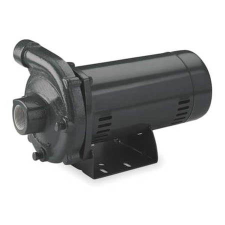 Dayton 4RJ69 - Cast Iron 2-1/2 HP Centrifugal Pump 230 V