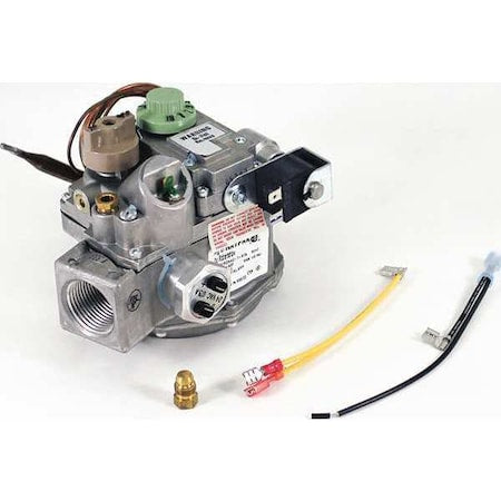Raypak 006509F - Gas Valve, 1 in., 24 V