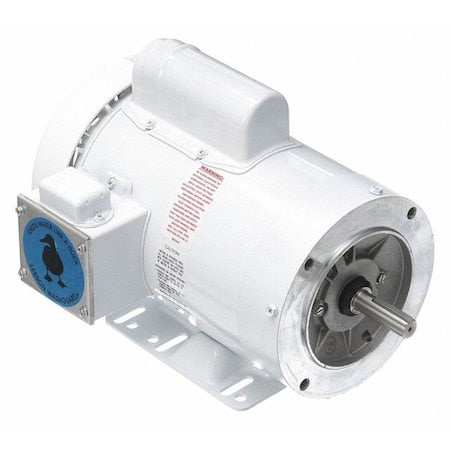 Leeson 114637.00 - Washdown Motor,2 HP,Face/Base,13-3/8in.L