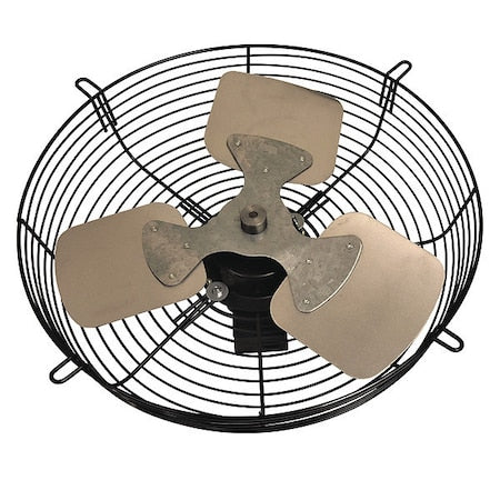 Dayton 484X54 - Guard Mounted Exhaust Fan,Blade 16" Dia.