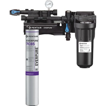 Pentair Everpure EV979721-75 - Steamer Filter System,3/4 In NPT,2.5 gpm
