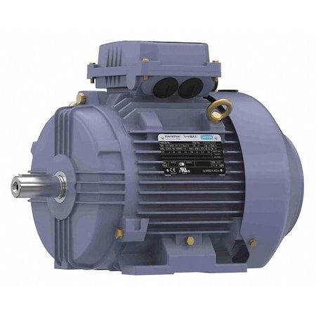 Marathon TCA0041AP211GAA009 - Metric Motor, 112 M, Rigid Base