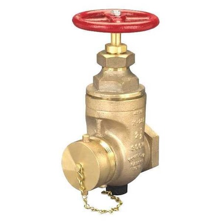 Dixon WDGV250F - Wedge Disc Gate Valve,2.5"FNPTx2.5"MNST
