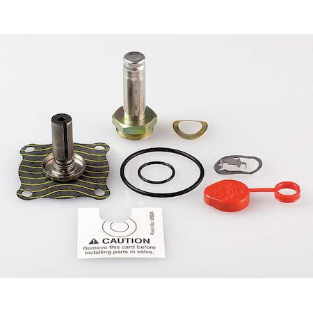 Asco 302385 - Rebuild Kit