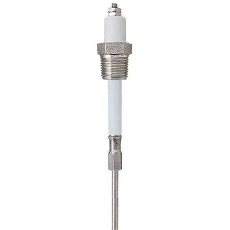 Lumenite PHST34Q12"UN - Liquid Level Probe,SS,12" Probe L,2,NPT
