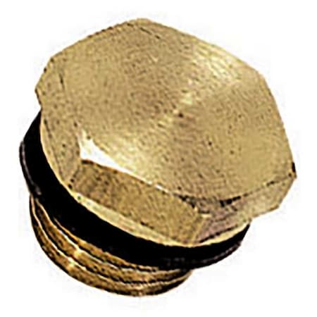 Legris 0220 21 00 - Brass Hex Head Plug, Male BSPP