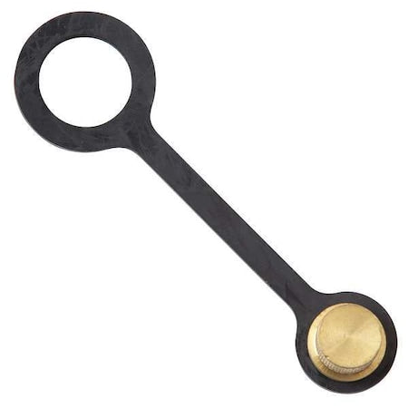 Watts RK-SAE-TC 1/8 SAE - Cap & Tether,1/8",Use w/Watts RK-SAE-TC