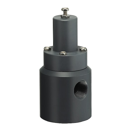 Plast-O-Matic RVD025V-PV - Pressure Relief Valve,1/4 In,5 to 100 psi
