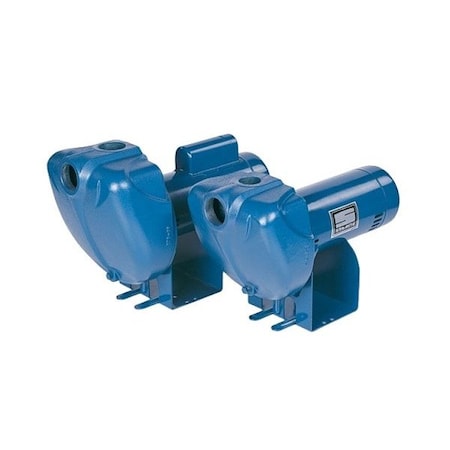 Pentair Sta-Rite DS3HE-01 - Self-Priming Centrifugal Pump