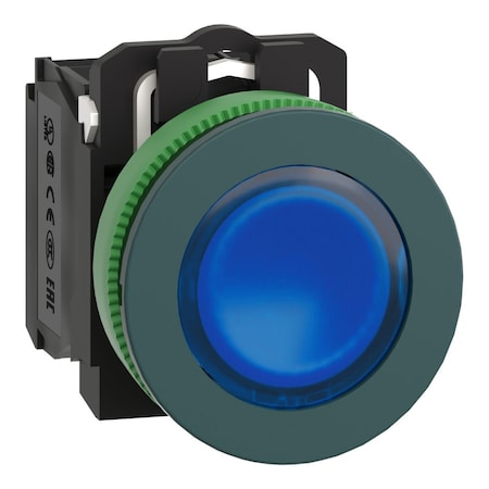 Schneider Electric XB5FW36G5 - Illuminated Push Button, 30 mm, 1 NO/1 NC, Blue