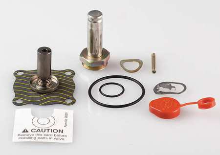 ASCO Controls 302276 Rebuild Kit 8210 AC