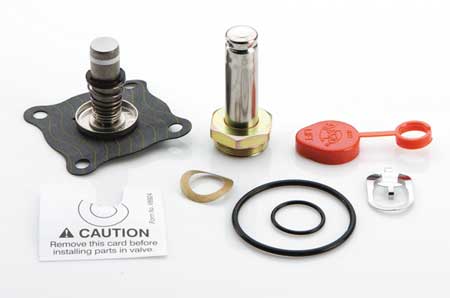 ASCO Controls 302350 Rebuild Kit
