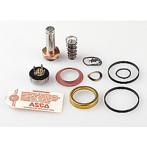 ASCO Controls 310716 Rebuild Kit 8220 Ac