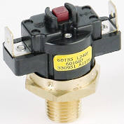 Raypak 008520F High Limit 240f Manual Reset Std-kit