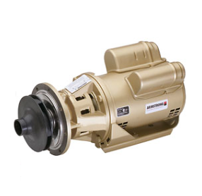 Armstrong 110108MF-675 boiler header pump for Raypak 1 heating system