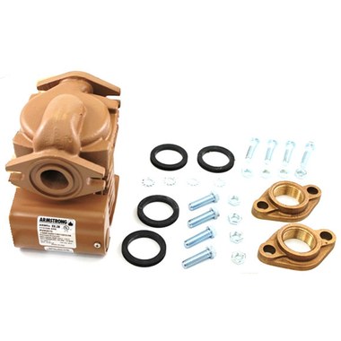 Lochinvar 100166430 115 V Pump