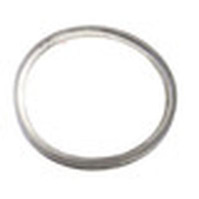 Lochinvar 100233595