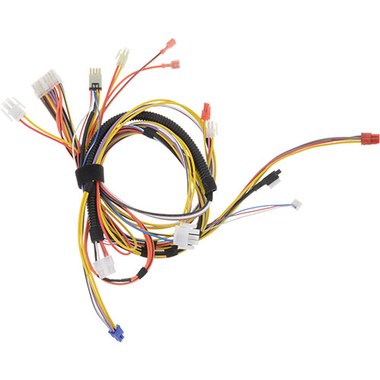 Lochinvar 100275616 Harness Main Unit