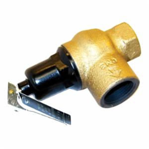 Lochinvar 100208442 Relief Valve Set at 50 PSI Replacement MPN