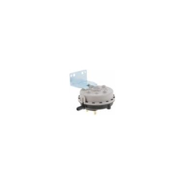 LOCHINVAR 100208384 PRESS SWITCH