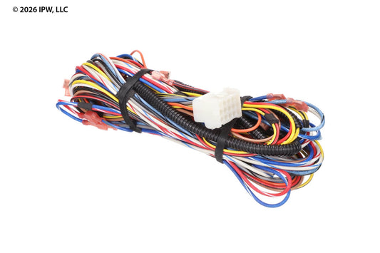 Lochinvar 100072940 Wire Harness