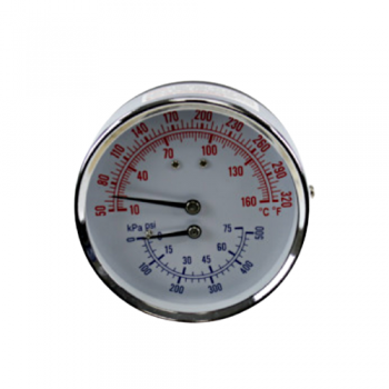 Lochinvar L100208153 Temperature Pressure Gauge
