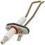 Lochinvar LAARS-R2069300 Ignitor with Gasket