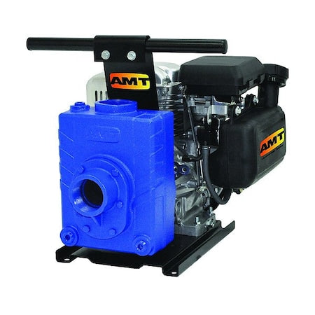 Amt Pumps 4229-V5 - Engine Driven Pump, Cast Iron, 5 hp