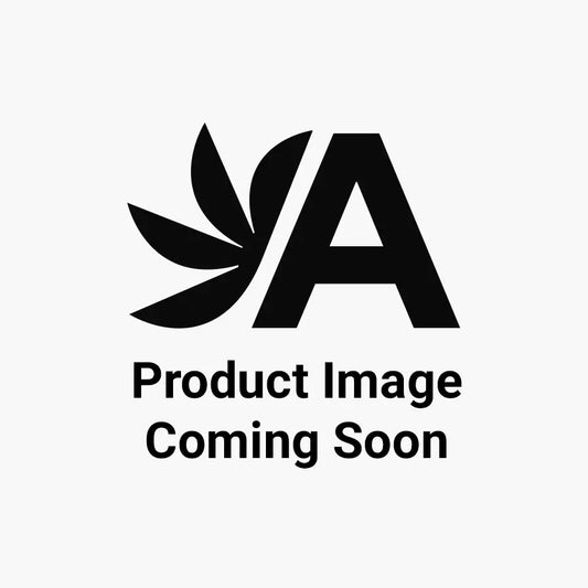 Lochinvar 100111940 User Interface Display Power