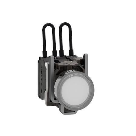 Schneider Electric XB4BW21G5 - Push-to-test pilot light, Harmony XB4, metal, white, universal LED, screw clamp terminals, 110.120 V
