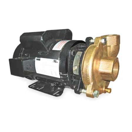 Dayton 2ZWT4 - Bronze/Brass 2 HP Centrifugal Pump 115/208-230 V