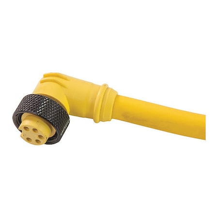 Remke 105C0030AP - Cordset,Mini-Link Assy,PVC,F,5 P,3 ft.